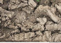 Ground Soil